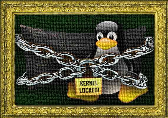 The rise of Linux as the OS server "de facto" for the Internet infrastructures, has gave us the input to make some kernel modifications (in the core system) to strengthen the safety of any server in case of external attack. In short, the rewritten code monitors in real-time the access to servers and their vital system files, login credentials and programs execution. A Root-Shell is almost impossible. The payload has always negligible and has held up extremely well on simulated attacks from different university research groups. The system has never yielded in terms of real attacks.